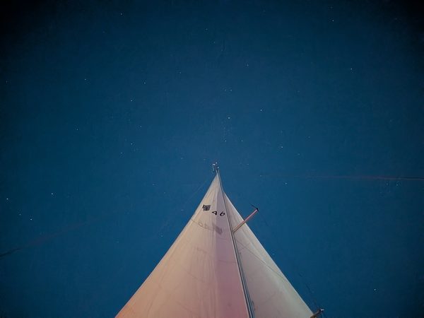 Blick nach oben, mitten in der Nacht.